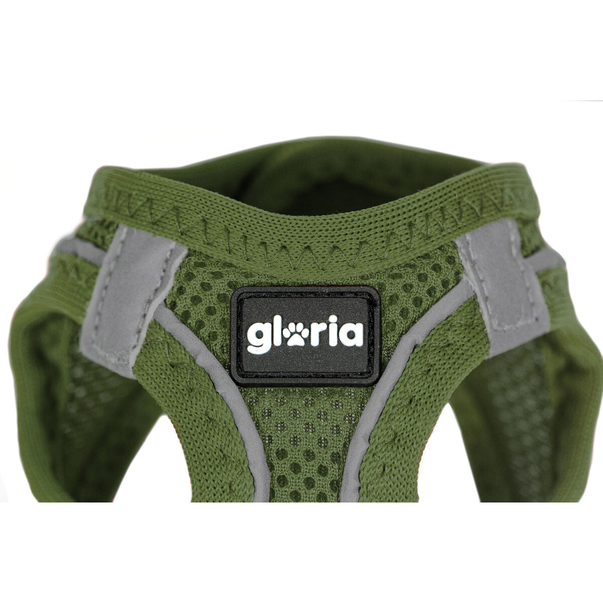 ARNSPARAPERROGLORIA24526CMVERDE1820CMP1