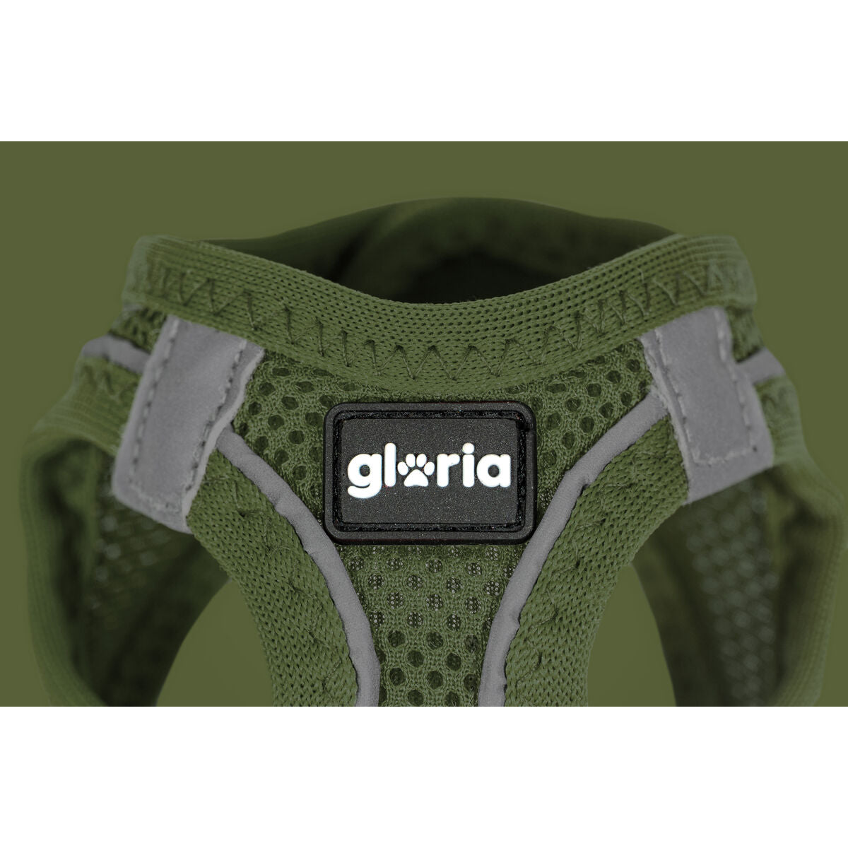 ARNSPARAPERROGLORIA24526CMVERDE1820CMP4